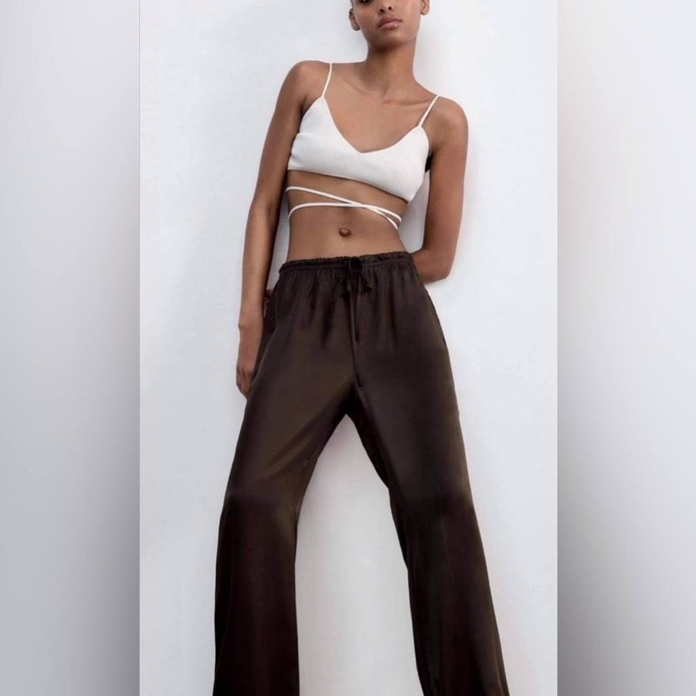 Zara brown drawstring satin pants